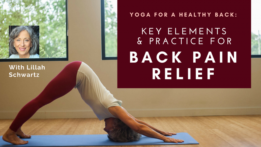 Yoga Helps Back Pain Sufferers